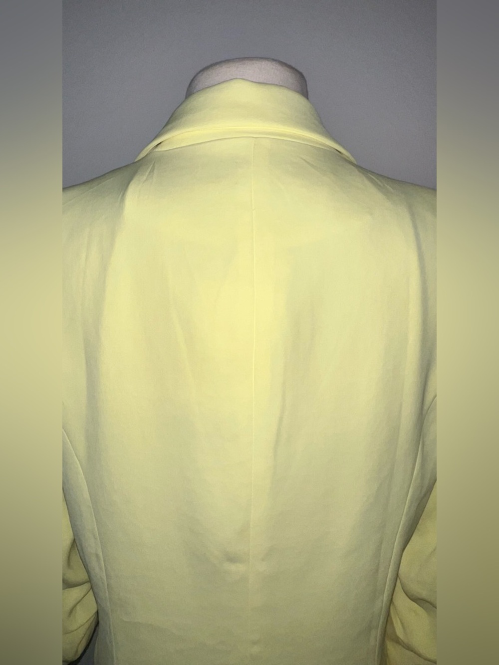 Women’s Sky’s Are Blue Yellow Blazer New With Tags Medium M - Picture 4 of 6